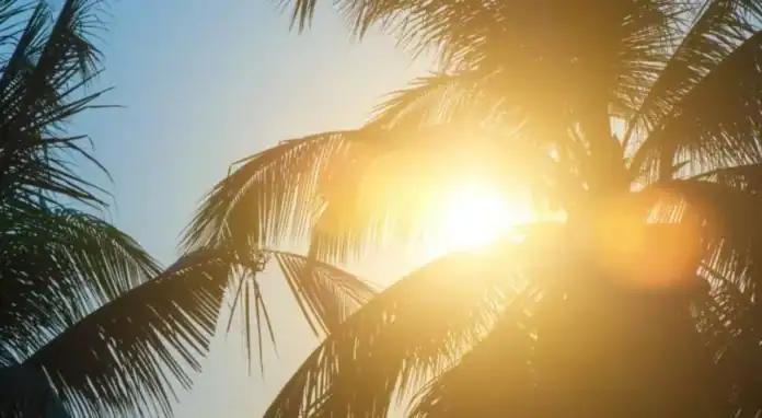 كتلة هوائية حارة تسيطر على أجواء الأردن خلال الأيام المقبلة كتلة هوائية حارة تسيطر على أجواء الأردن خلال الأيام المقبلة