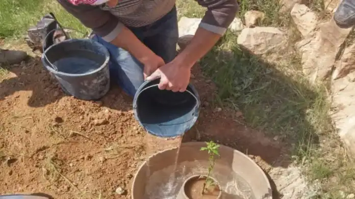 اتفاقية لتوريد 300 ألف 