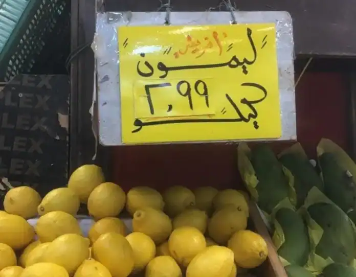 الغزاوي: احتكار كبار التجار وراء ارتفاع أسعار الليمون في الأردن الغزاوي: احتكار كبار التجار وراء ارتفاع أسعار الليمون في الأردن