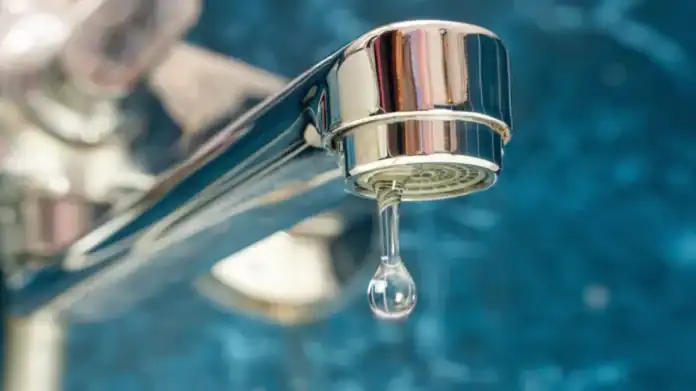 الإفتاء: الحفاظ على الماء واجب شرعي وسقياه باب للأجر المستمر