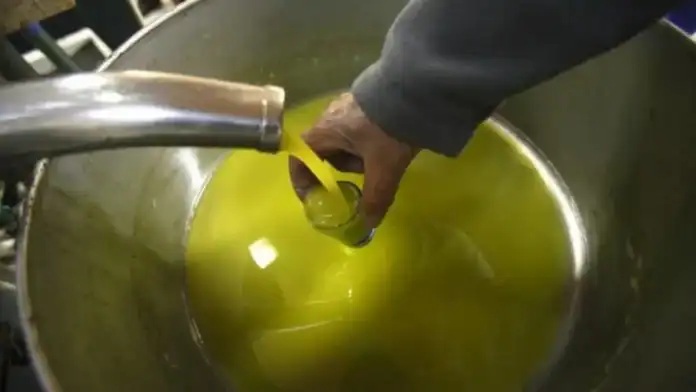 الأردن يُفعّل إجراءات الاستيراد لزيت الزيتون لتأمين الأسعار وتوفير المخزون