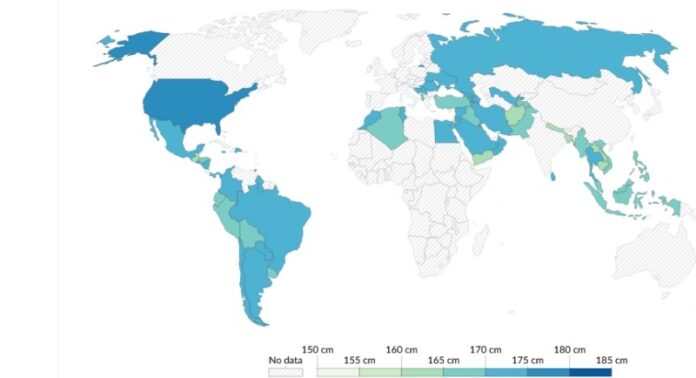 قامات الأردنيين من بين الأطول عالميًا