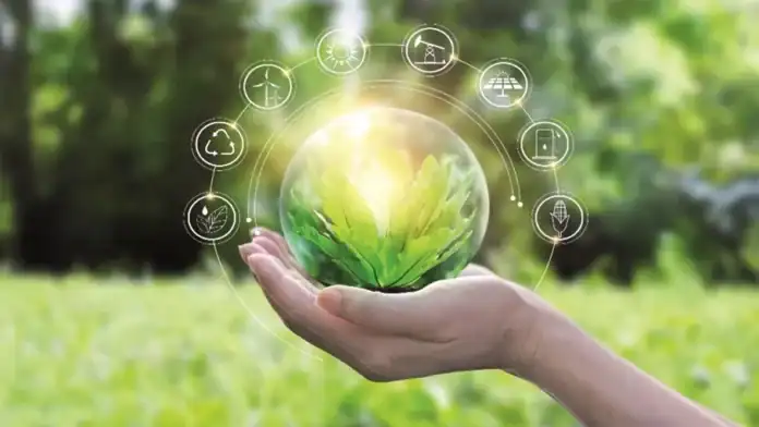 الاقتصاد الأخضر في الأردن: رافعة لخفض البطالة وتعزيز التنمية المستدامة