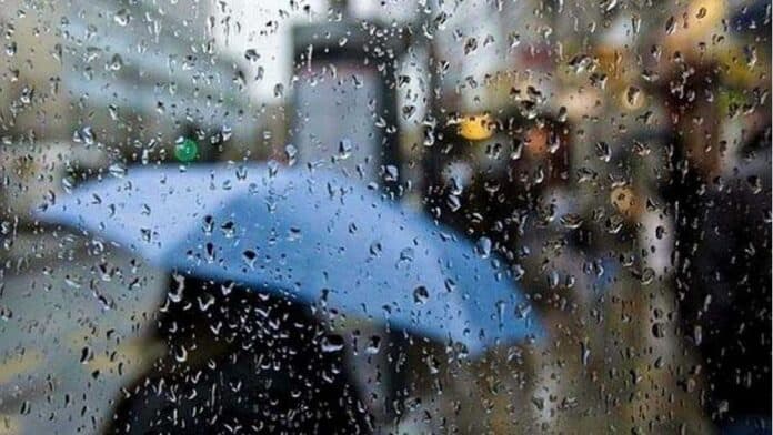 تحذيرات عاجلة: سيول محتملة وتأجيل قطاف الزيتون مع حالة عدم الاستقرار الجوي في الأردن