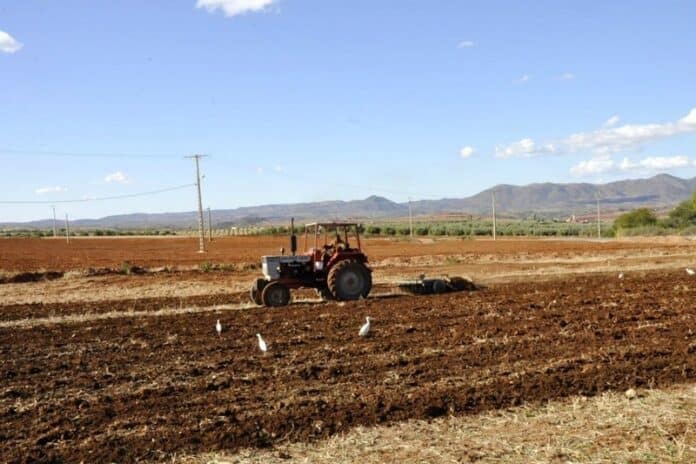 أمطار الأردن تنعش الزراعة 2025