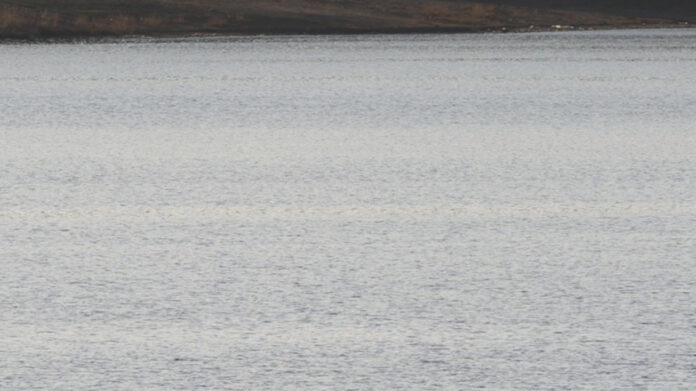 سدّ زرقاء ماعين يفيض قريباً