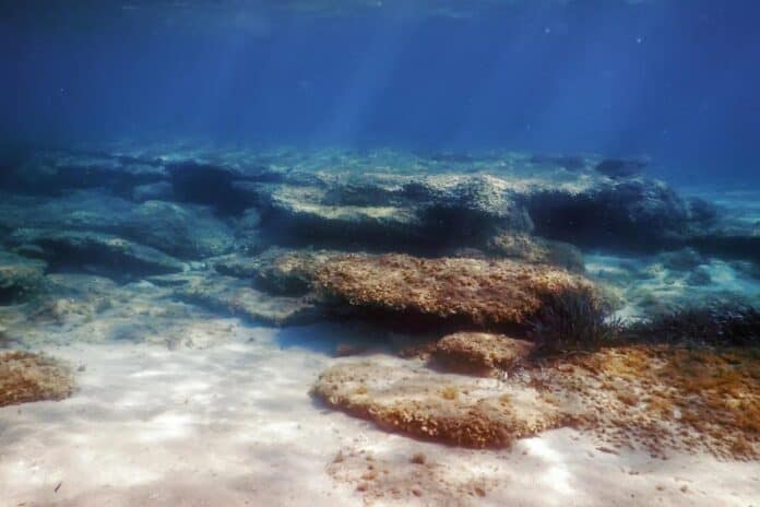 قلق علماء من قاع المحيط بعد 10 سنوات