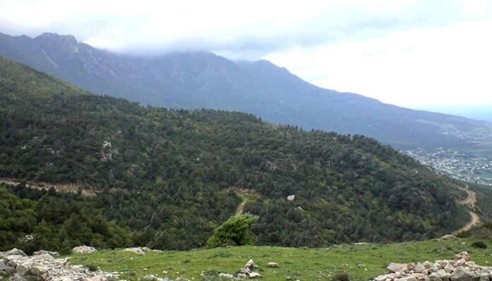 طقس بارد وتحذيرات من الصقيع حتى الخميس