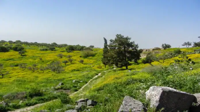 ارتفاع الحرارة في الأردن وأجواء ربيعية دافئة