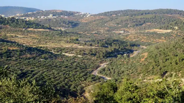 ارتفاع تدريجي للحرارة وأجواء حارة بالأغوار والعقبة