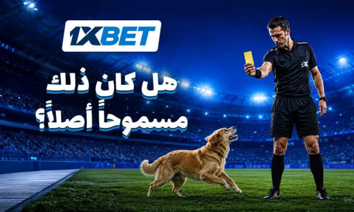 1xBet تستعرض خمس قواعد مدهشة وغير معروفة في كرة القدم