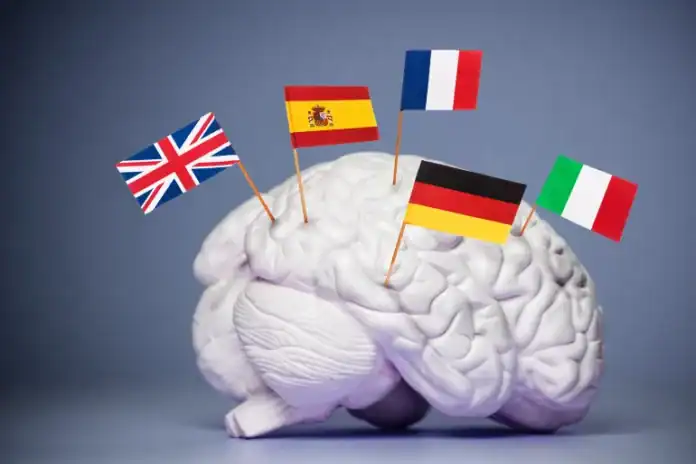 تعلم اللغات الأجنبية يعزز صحة الدماغ مع التقدم بالعمر