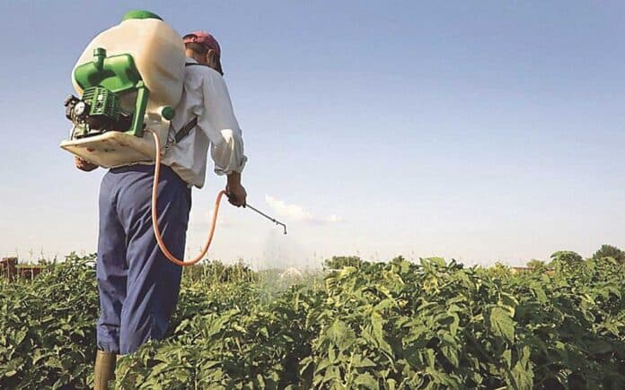 خبراء يحذرون من الإفراط في استخدام المبيدات الزراعية